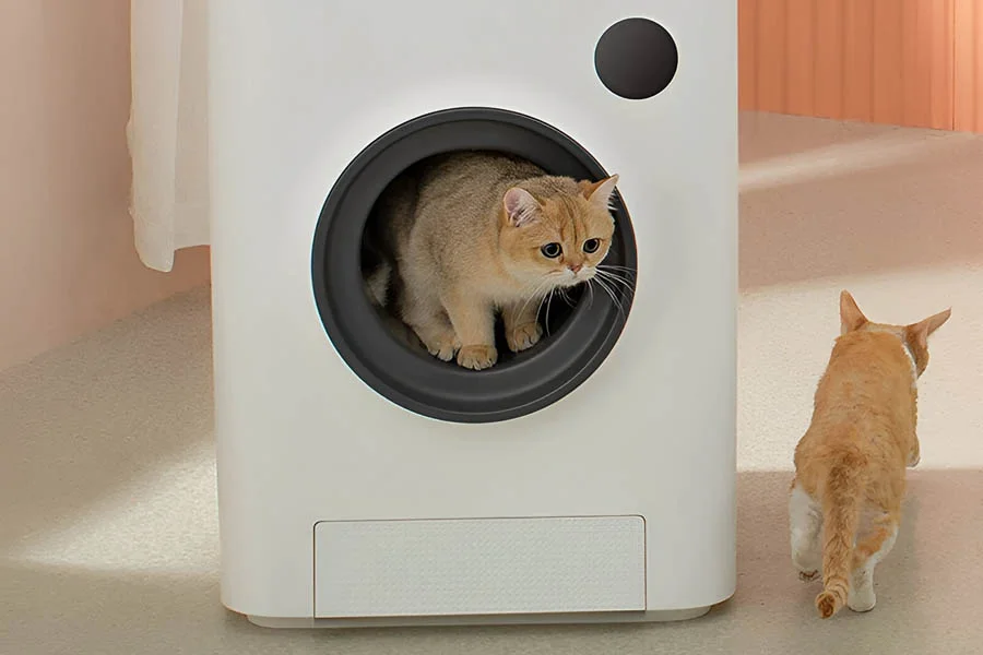 best automatic litter box multiple cats